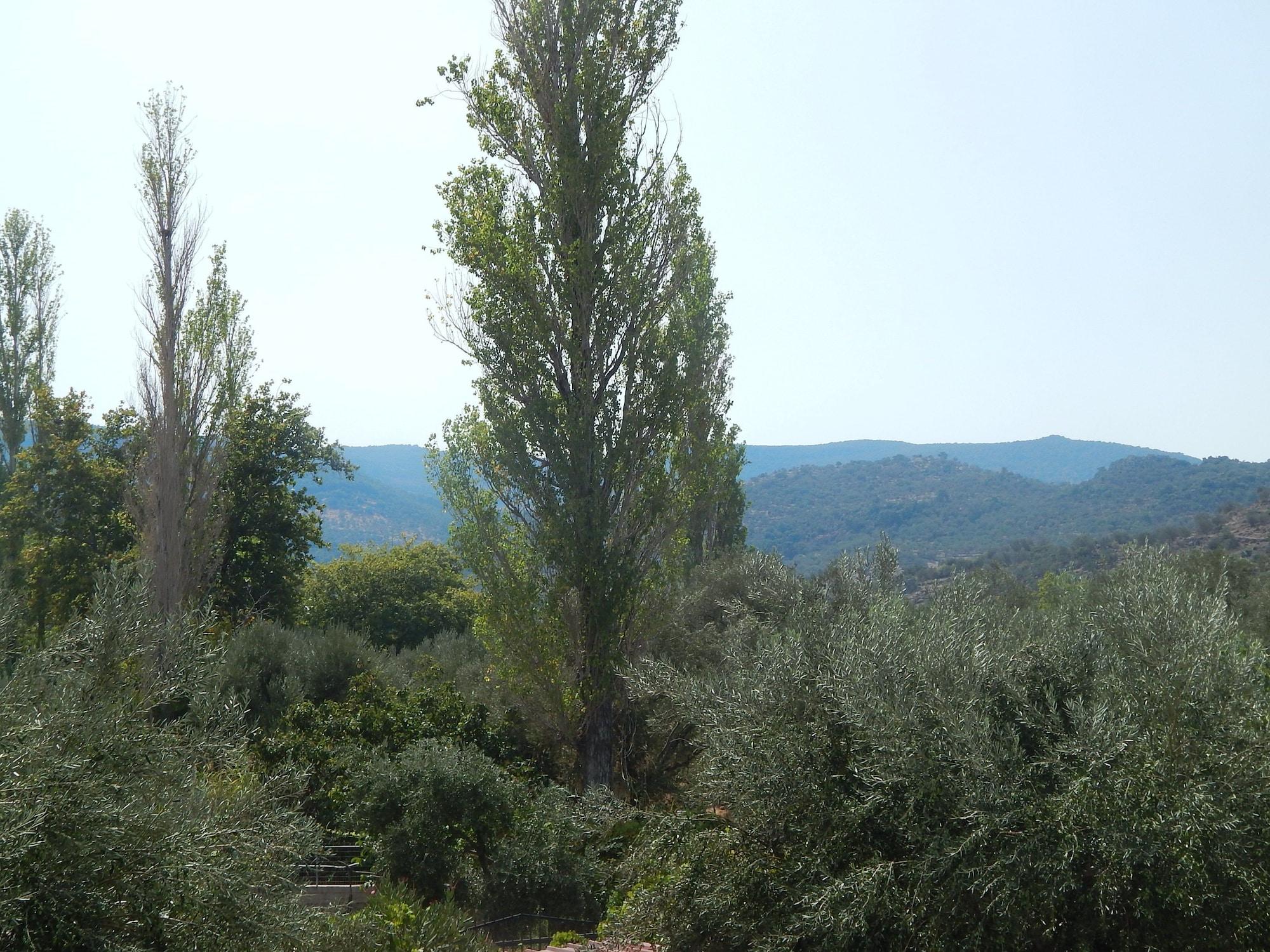 الشقق الفندقية Anaxos Gardens المظهر الخارجي الصورة