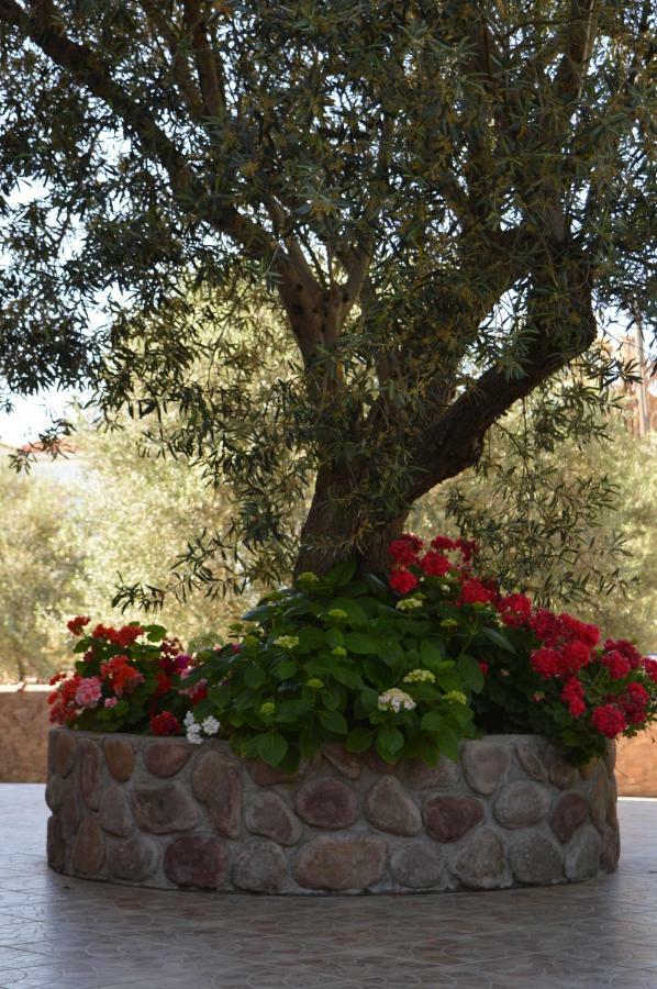 الشقق الفندقية Anaxos Gardens المظهر الخارجي الصورة