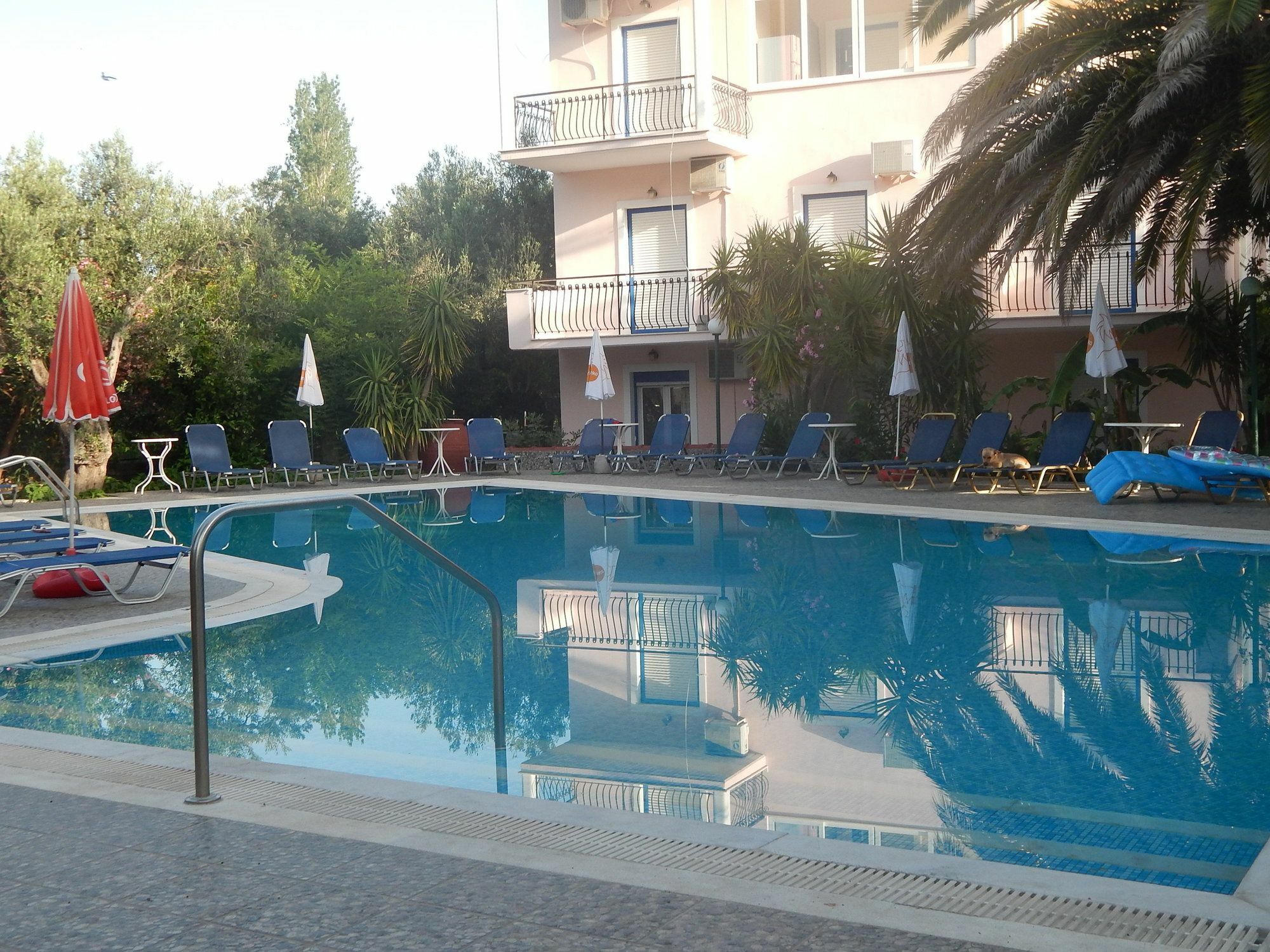 الشقق الفندقية Anaxos Gardens المظهر الخارجي الصورة